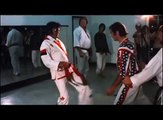 Elvis sa corpulence et son Karaté By Skutnik Michel