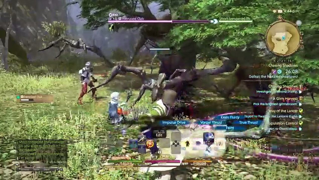Final Fantasy 14 part 3 (11)