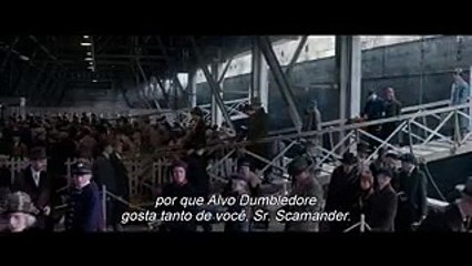 Animais Fantásticos e Onde Habitam Trailer Legendado - PLAY FILMES