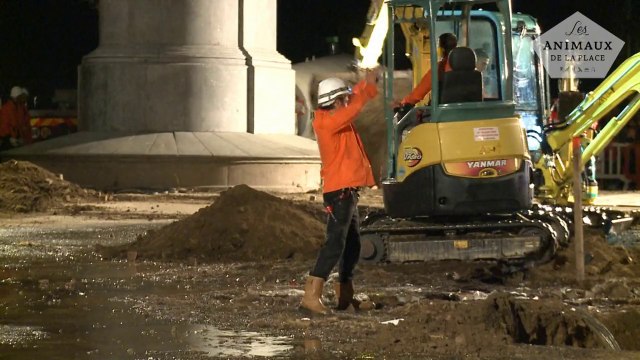 Ballet de pelleteuses et animaux automates