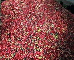 Favelas de Rio de Janeiro. Parte 1. Mayo 2004