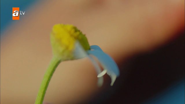 Seviyor Sevmiyor 1. Tanıtım Fragmanı - Yeni Dizi Yakında ATV' de