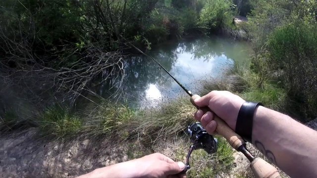 pêche aux leurres!! attaque de brochet en direct!!