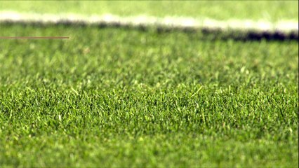 TOP 14 – Racing 92 - Pau : 43-13 Essai Dimitri SZARZEWSKI (RAC) – J24 – Saison 2015-2016