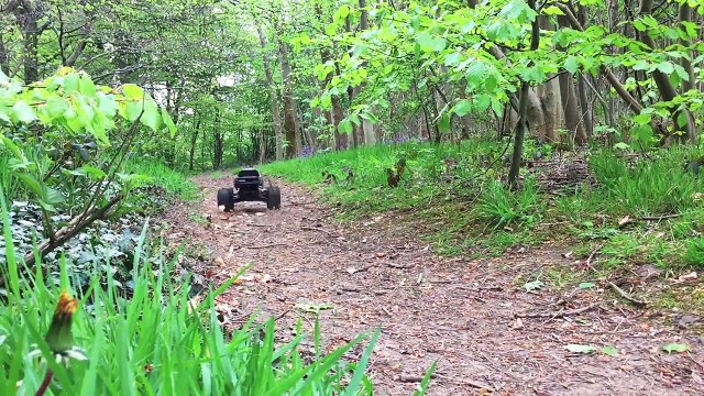 Traxxas Stampede 4x4 RC Car Forest Bashing