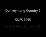 Donkey Kong Country 2 end level gliches