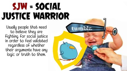 How Radical Feminists and SJWS Control Reddit