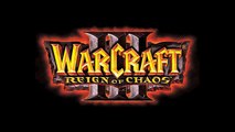 Warcraft 3 Reign of Chaos - Reign of Chaos