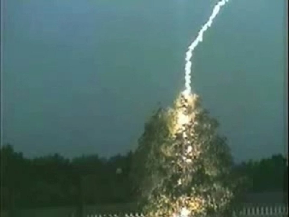 Lightning Hits Tree!