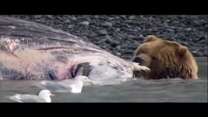 Tech House Mix May 9th 2016 (7)