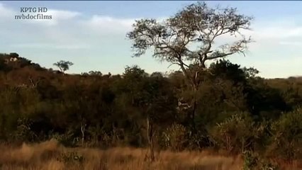 We Call This Home - 3 Years Around the World Travel ACBD (1)