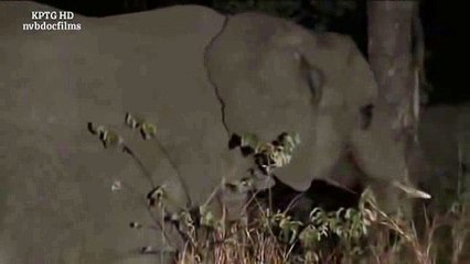 We Call This Home - 3 Years Around the World Travel ACBD (8)