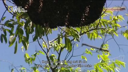 We Call This Home - 3 Years Around the World Travel ACBD (20)