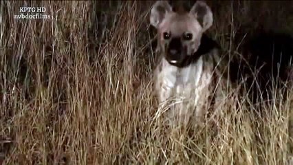 We Call This Home - 3 Years Around the World Travel ACBD (12)