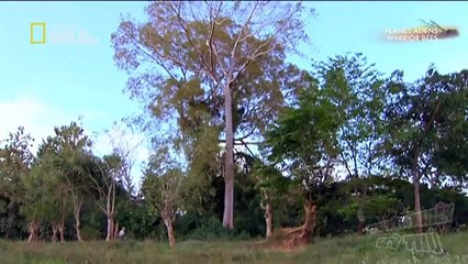 We Call This Home - 3 Years Around the World Travel ACBD (16)