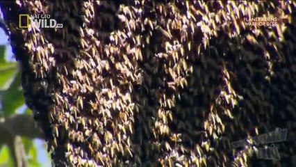 We Call This Home - 3 Years Around the World Travel ACBD (19)