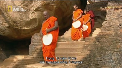 We Call This Home - 3 Years Around the World Travel ACBD (23)