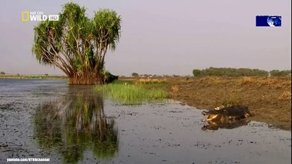 We Call This Home - 3 Years Around the World Travel ACBD (41)