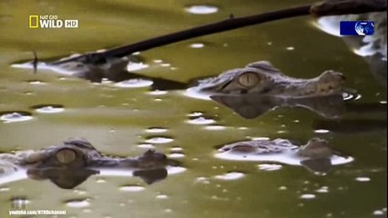 We Call This Home - 3 Years Around the World Travel ACBD (45)