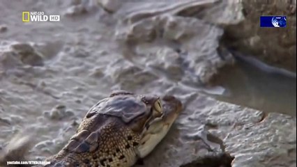 We Call This Home - 3 Years Around the World Travel ACBD (46)