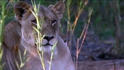 We Call This Home - 3 Years Around the World Travel ACBD (49)