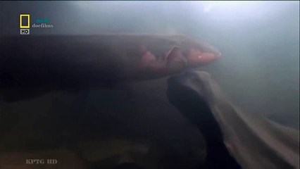 Tech House Mix May 9th 2016 (29)