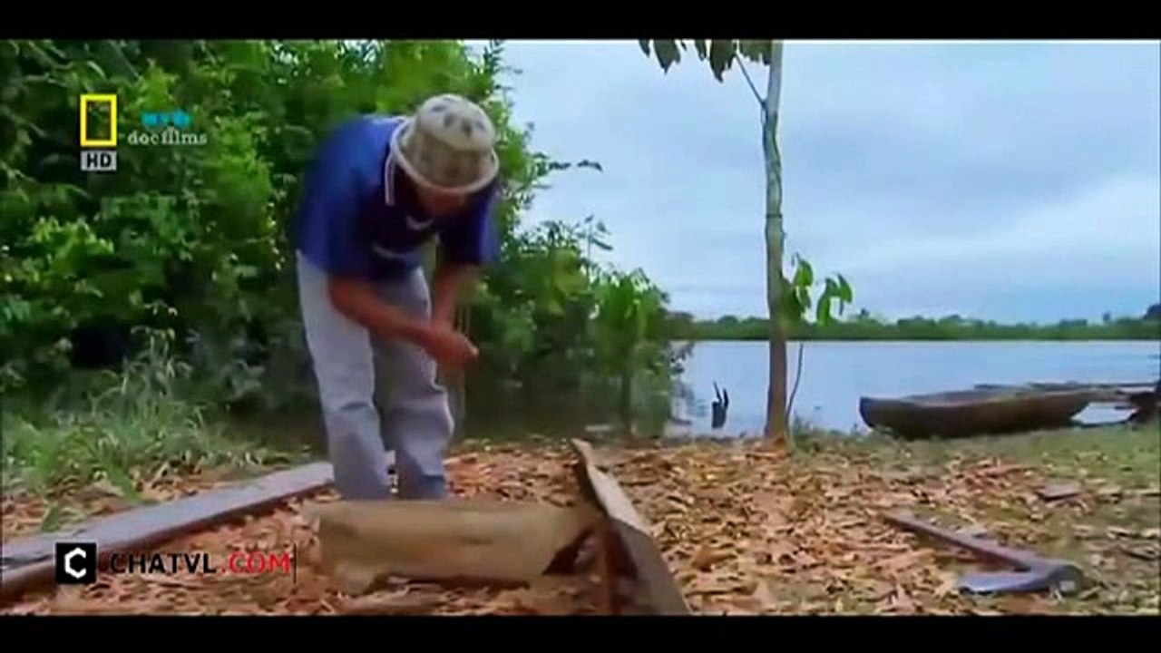 When angry animals attack humans - Funny Compilation (47)