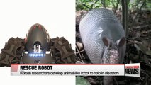 Korean researchers develop animal-like robot to help in diasters