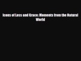 [PDF] Icons of Loss and Grace: Moments from the Natural World Download Online