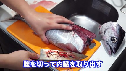 マグロをさばいて爆弾ユッケを作って食うよ！！