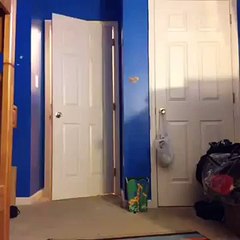 When you get fresh out the shower and somebody doesnt knock - Vine #214