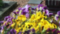 travel tips   travel essentials! - Annelies&Livia