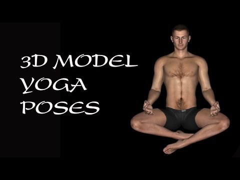 3D Model Yoga Poses
