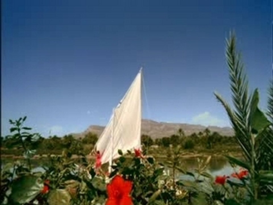 Ushuaia_Hibiscus_mai2007