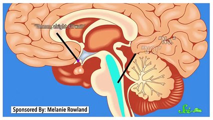 Why Do We Jump in Our Sleep- Very interesting- Must watch