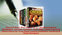 Download  Beyond Meat Box Set 6 in 1 Mouthwatering Meatballs Chicken Recipes Real BBQ Meat Pies Read Online