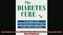 READ FREE FULL EBOOK DOWNLOAD  The Diabetes Cure  A Natural Plan That Can Slow Stop Even Cure Type 2 Diabetes Full Free