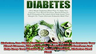 Free Full PDF Downlaod  Diabetes One Week Diabetes Meal Plan To Help You Improve Your Blood Glucose Blood Full EBook