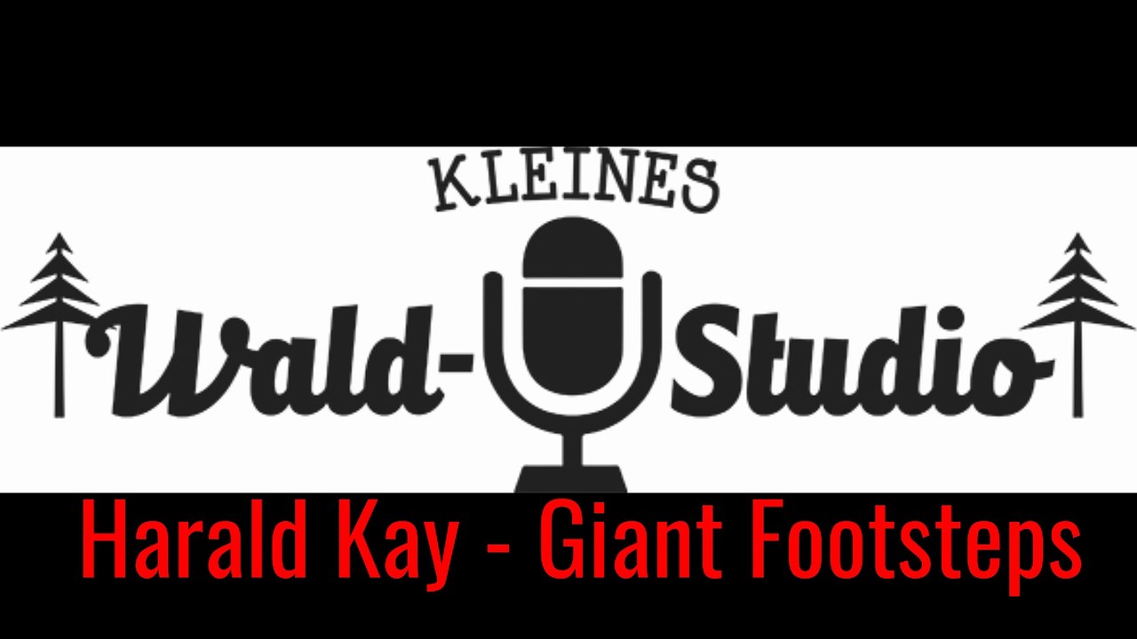 Harald Kay EP, proud to be guesting on the electric guitar