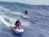 Amazing Wave Surfing