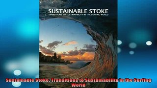 EBOOK ONLINE  Sustainable Stoke Transitions to Sustainability in the Surfing World READ ONLINE