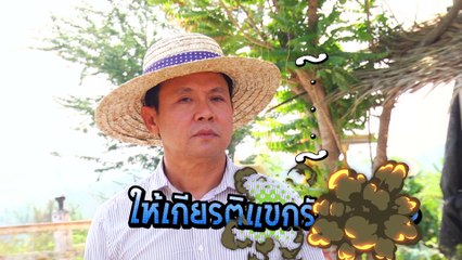 ตีท้ายครัว |   จตุรงค์  มกจ๊ก   21 ก พ 59  |  ตอนที่ 1/4