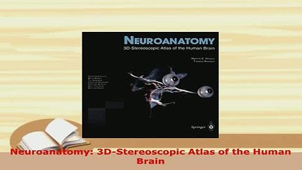 PDF  Neuroanatomy 3DStereoscopic Atlas of the Human Brain  EBook