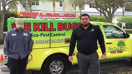 We love Coral Gables, FL- One Two Tree Inc. Pest Free