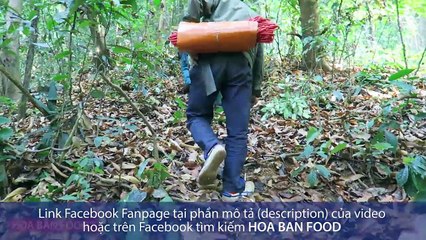 Ký Sự Rừng Già - Tập 6 - SĂN ONG RỪNG