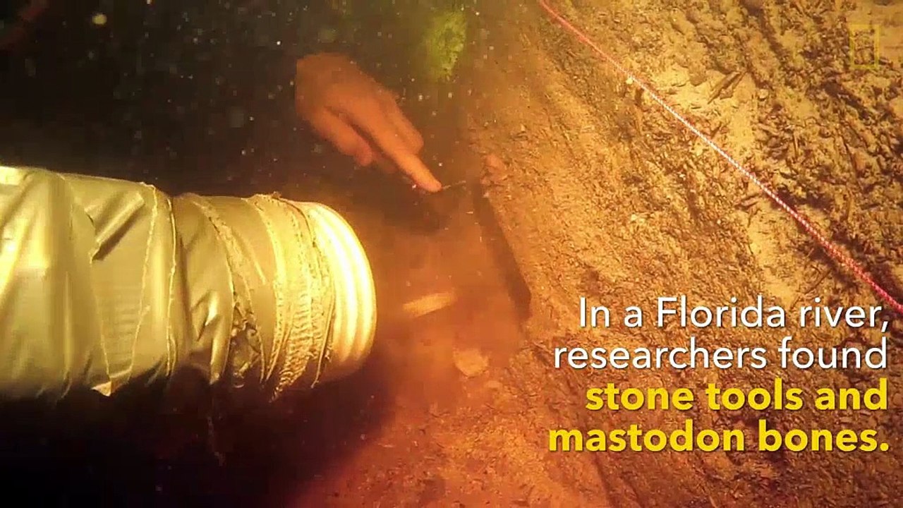 Mastodon Bones' Discovery May Hold Clues About First Americas