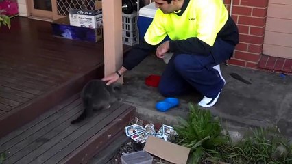 在这里我要你拍的不存在