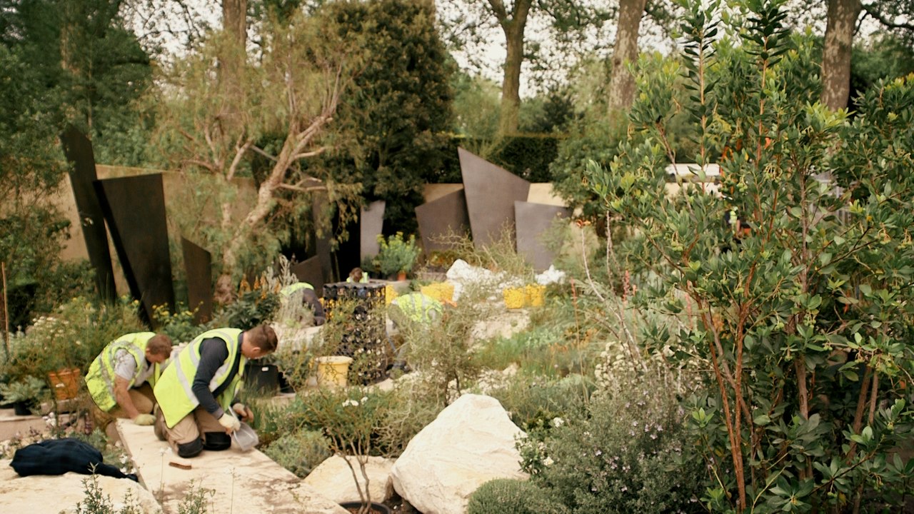 The building of the Telegraph garden at Chelsea Flower Show