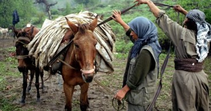 Terör Örgütü PKK'nın Finans Kaynağına Darbe