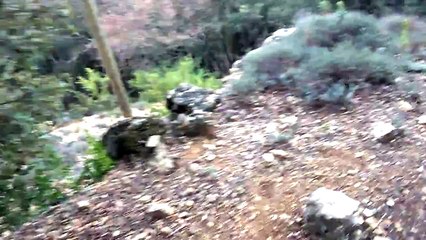 Ferme+charge sanglier